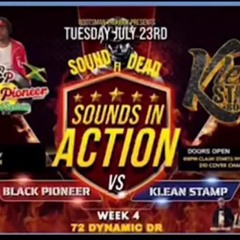 Sounds in Action 2024