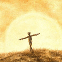 surge - count me out p. toker & amir