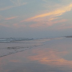 4 dy trip (original)