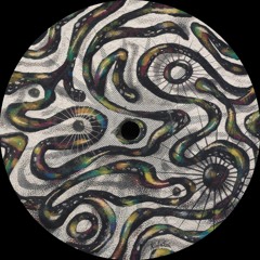 Tape Hiss ─ An Angel of Reason [ECHPS006]