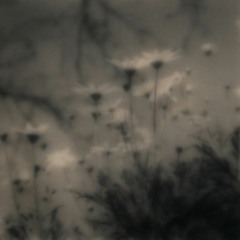 𝙂(𝓸𝓵𝓭)♩.