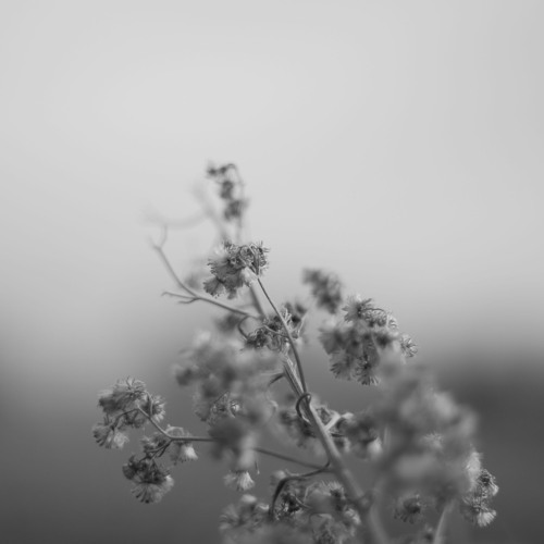 72