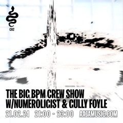 The Big Bpm Crew Show w/ Numeroligist and Gully Foyle - Aaja Channel 2 - 21 02 24