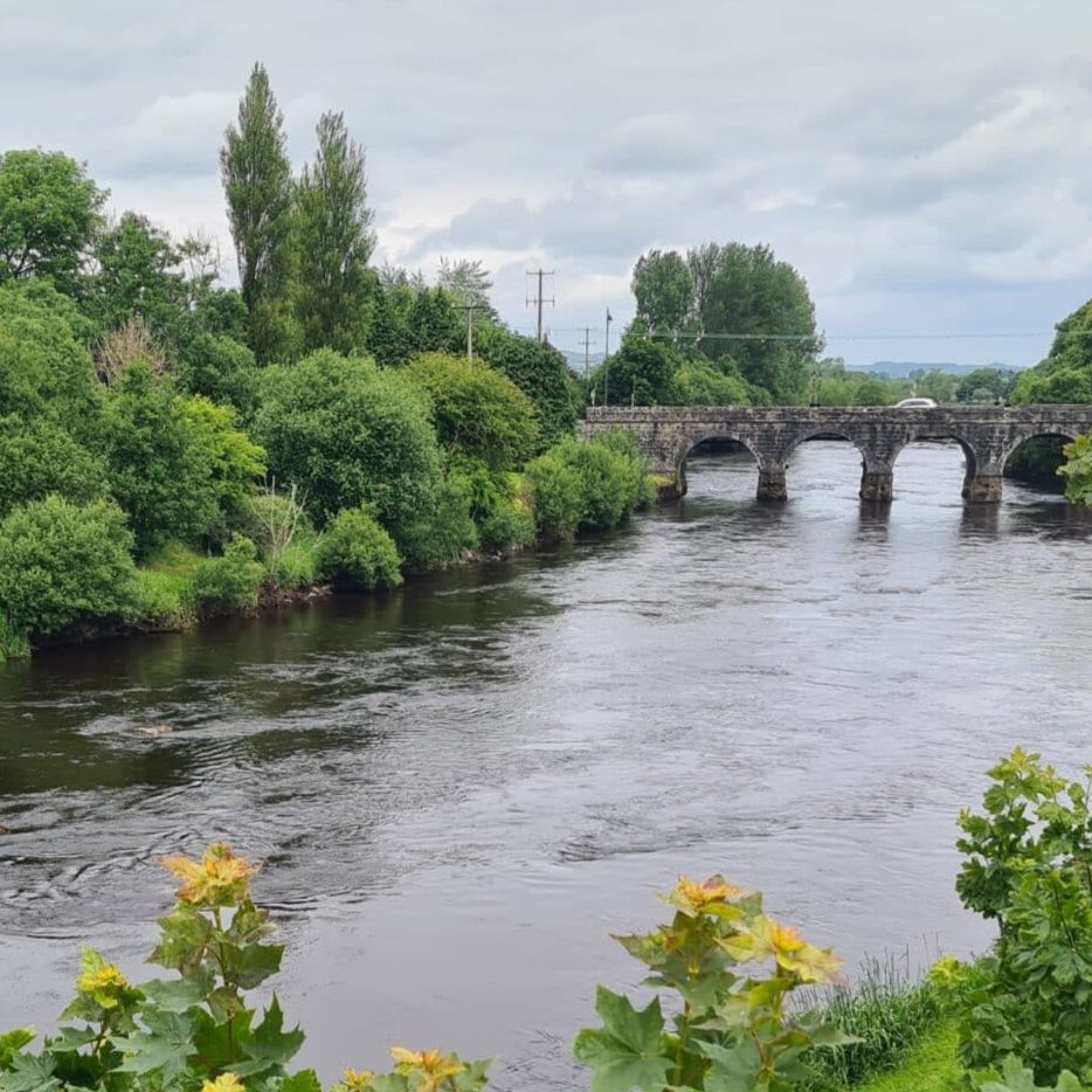 Peche en irlande