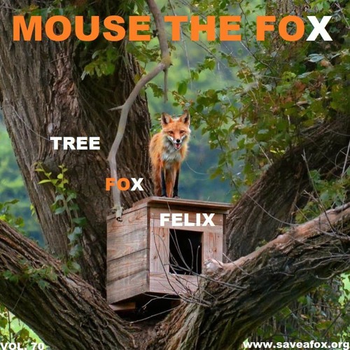 MOUSE THE FOX - TREE FOX FELIX - VOL.70 - 03.12.2023