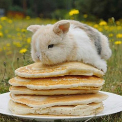 LIL DMT - TREAT U LIKE A QUEEN