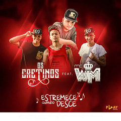 Estremece Quando Ela Desce (feat. MC WM)