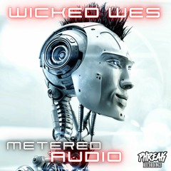 Wicked Wes - Metered Audio (Original Mix)