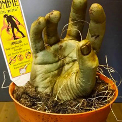 Minoxae hated on this beat fun fact mino xae has been mino xae since around august 2024 according to the wiki let me know if this beat is cool and follow my ig lol