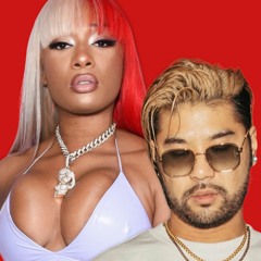 Wax Motif, Megan Thee Stallion - WET x Thot Shit (Seso Mashup) FREE DOWNLOAD