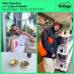 Vibe Operator - Llupe & Seelie - 03 Sep 2024