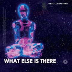 Nikko Culture - What Else Is There