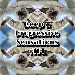 Deep & Progressive Sensations #114 | Part I