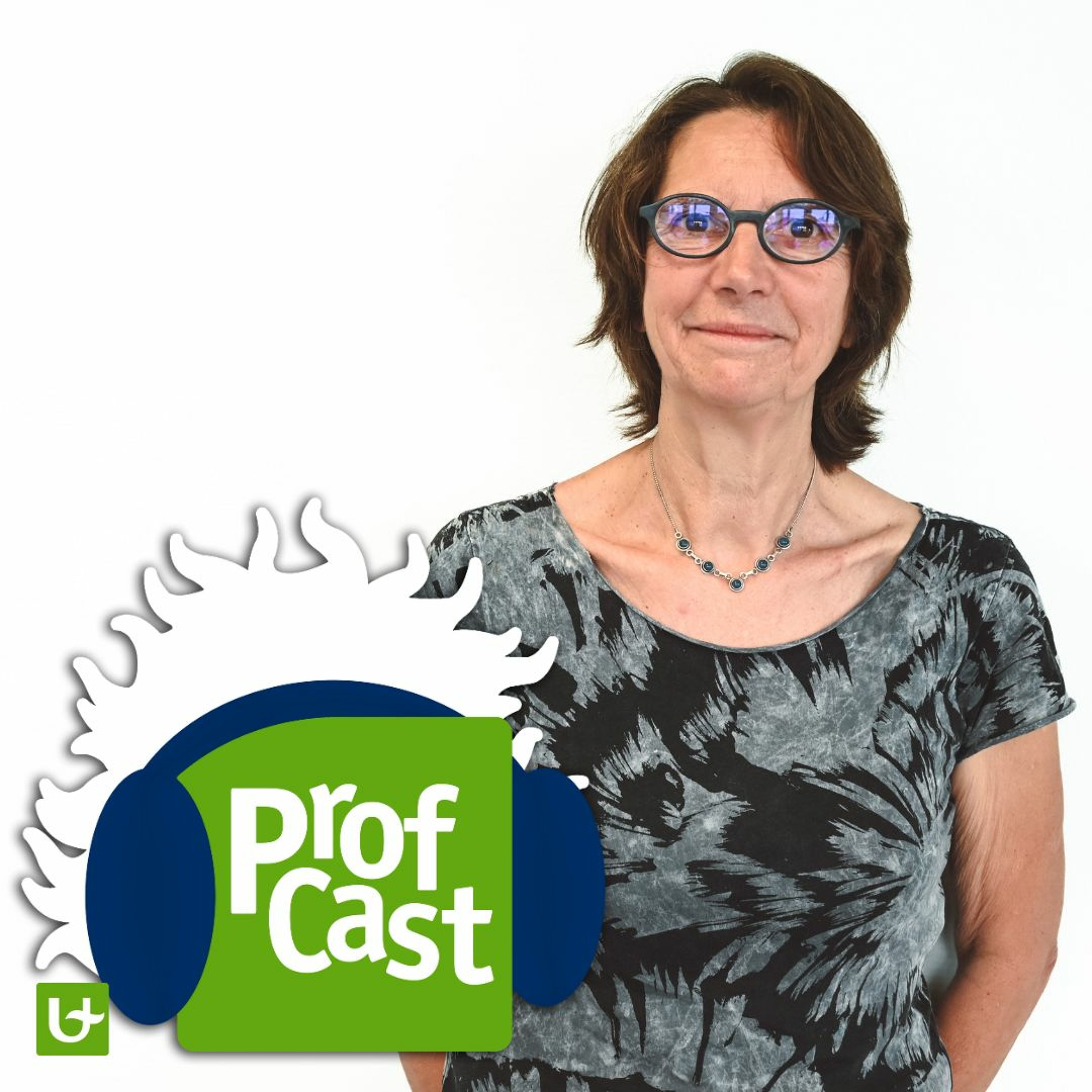 Profcast