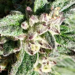 Modest Mouse - Out of Gas (33 mix)