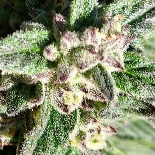 Modest Mouse - Out of Gas (33 mix)