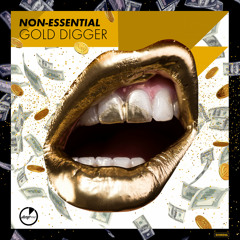 Non-Essential - Gold Digger (Radio Edit)[OUT NOW]