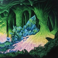 Melvinos - The Bruce Cave | ACID |