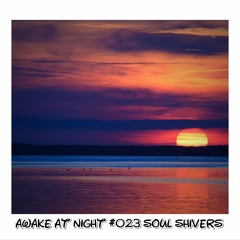 Awake at Night Podcast #023 Soul Shivers