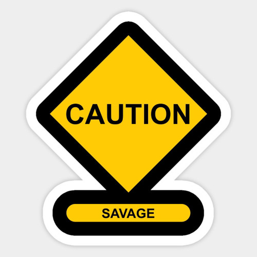 “Rated Savage” Megan thee Stallion x The Web - Mashup