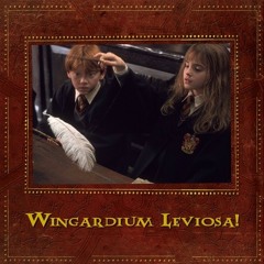 Wingardium Leviosa ft 503inferno