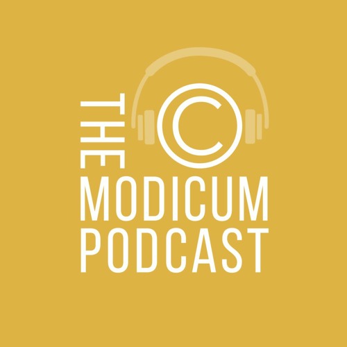 The Modicum #13: State Sovereign Immunity and Copyright Law