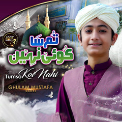 Saleh Salahaddin Shah