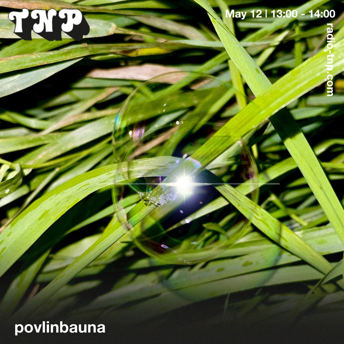 Povlinbauna