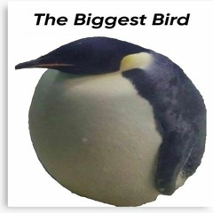 IM THE BIGGEST BIRD REMIX
