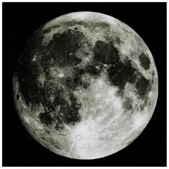 TRINA (prod @jxnoir_)