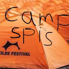 Roskilde festival mix 2024 (dansk mashup)