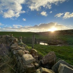 Untitled Game Track - (2013)