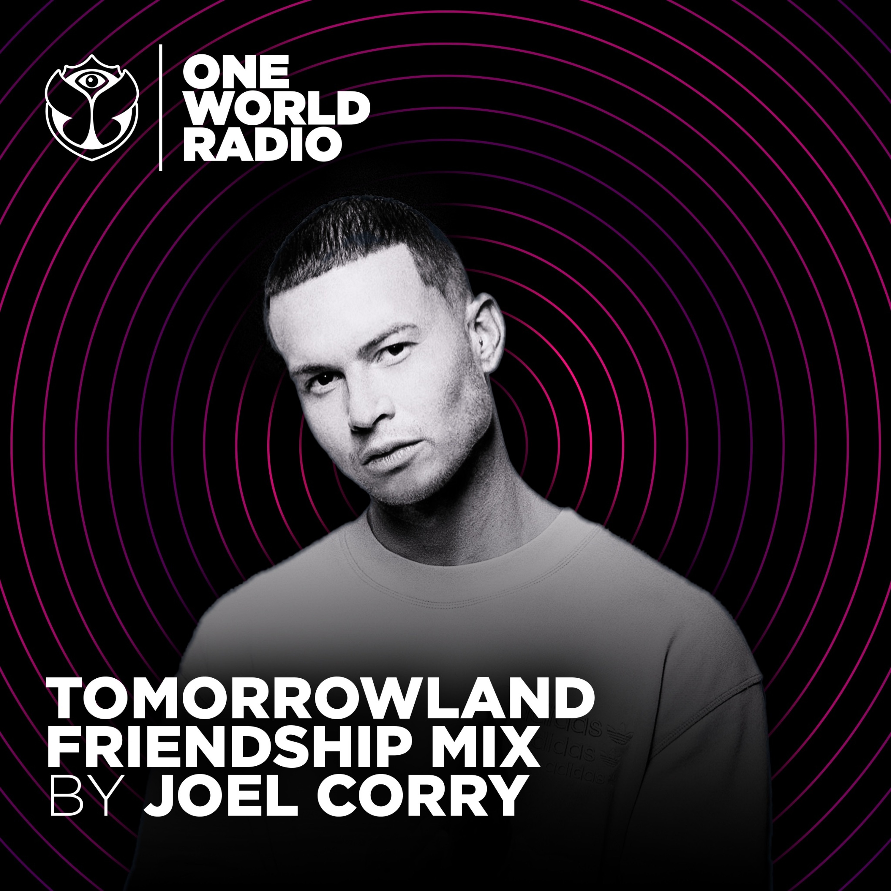 Tomorrowland Friendship Mix