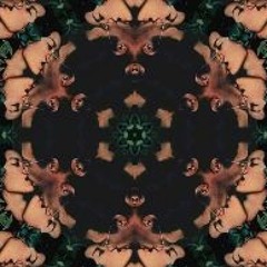 BRXZXL [Loopdiggers Sunday Roulette N° 47]