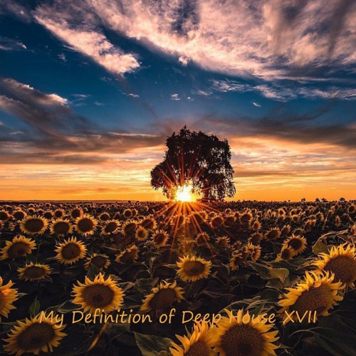 Sandeep - My Definition of Deep House XVII