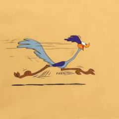 ROAD  RUNNER