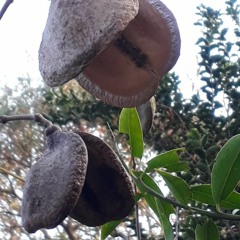 20.07.2022 - Cap. XII - Amai os Vossos Inimigos - Pagar o Mal com o Bem (3)