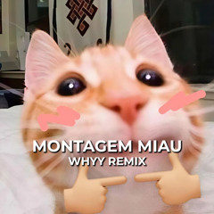 Montagem Miau Remix