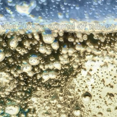 the future sound of nibley - volume 26