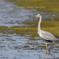 Choose your battles
