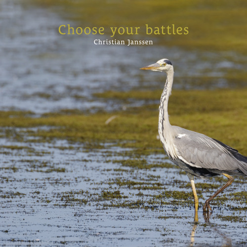 Choose your battles
