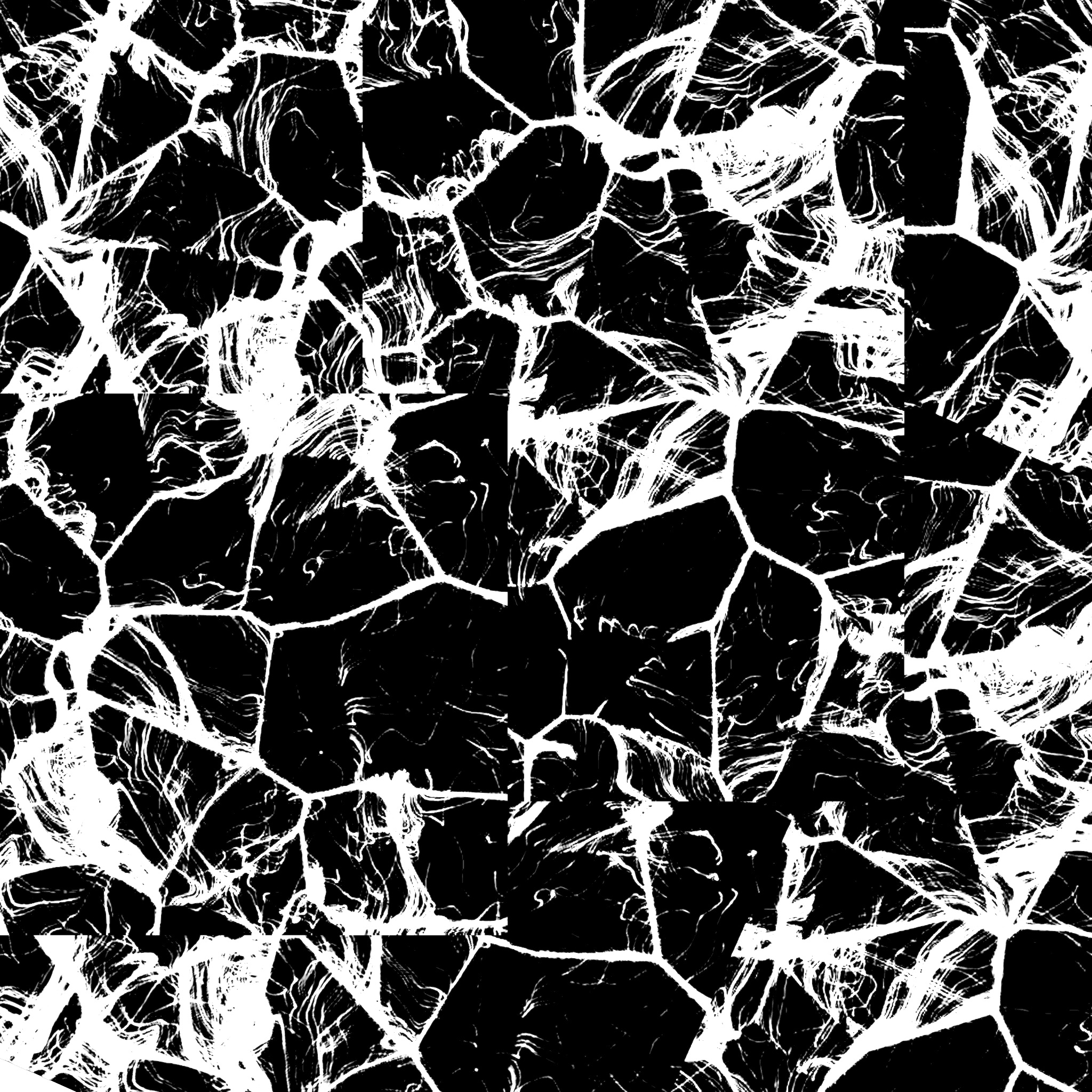 BCCO Premiere: Parano – Arranga