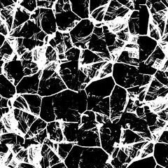 BCCO Premiere: Parano - Arranga