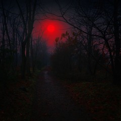 برای شب‌هایی که غمگینی.