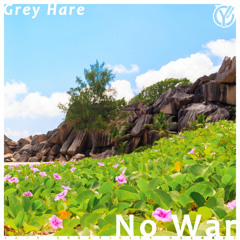 Grey Hare - No War (Original Mix)