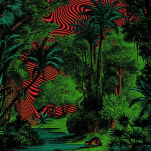 Out Of The Darkness : > Ecstatic Dance