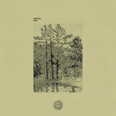 Indefinite Pitch PREMIERES. Grievance - Intro III (Formant Value Remix) [Eterea]