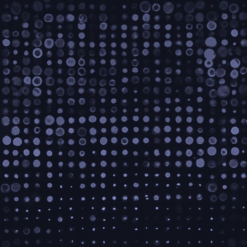 impropper @ Rūmu 24-APR-25