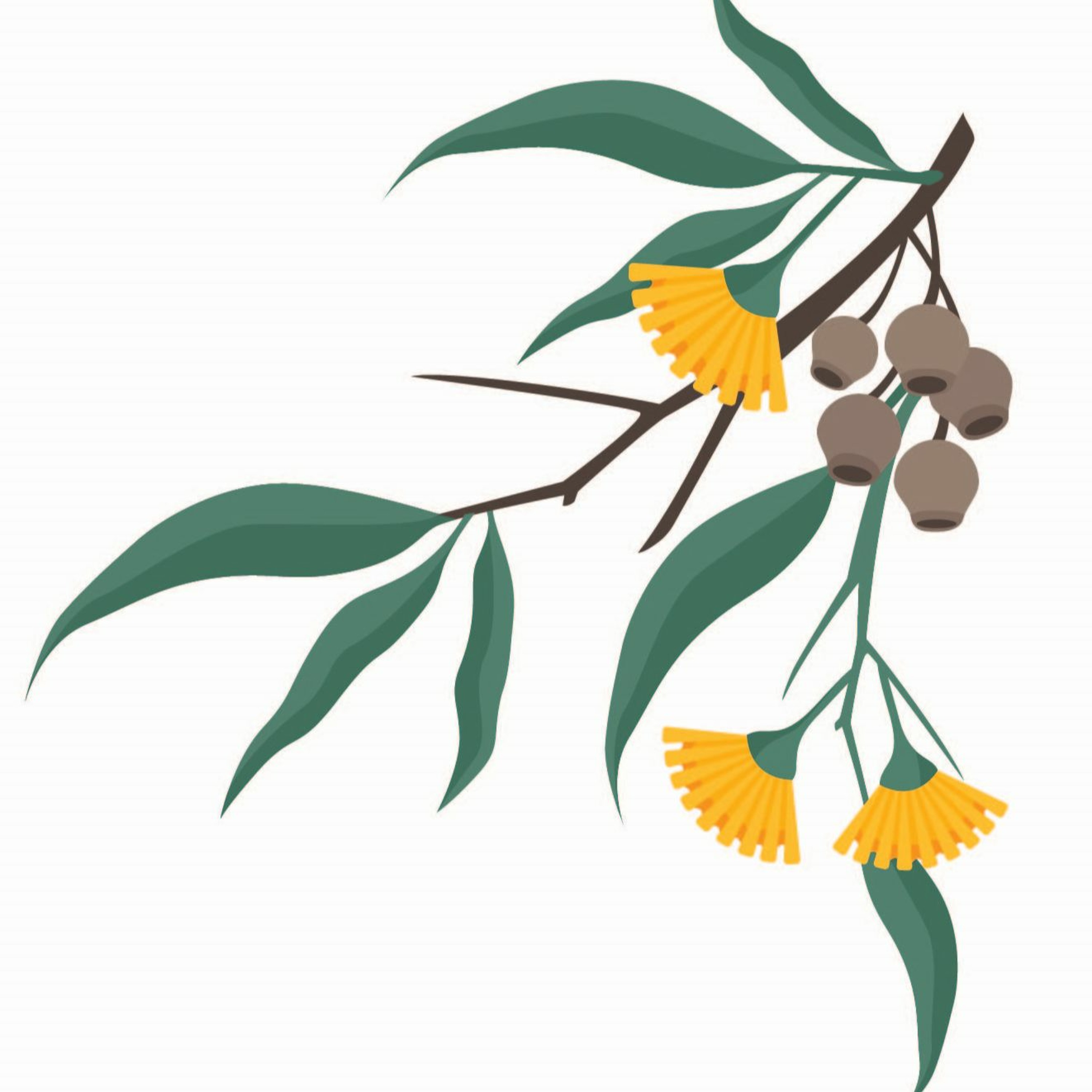 School Library Association of Victoria