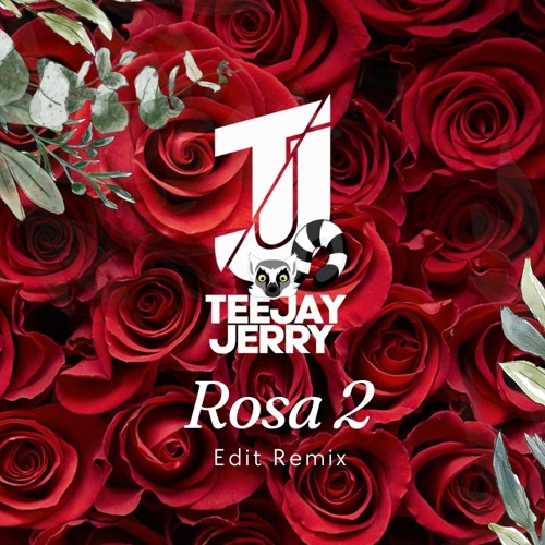 Teejay Jerry - Rosa 2 (Remix Edit 2024)
